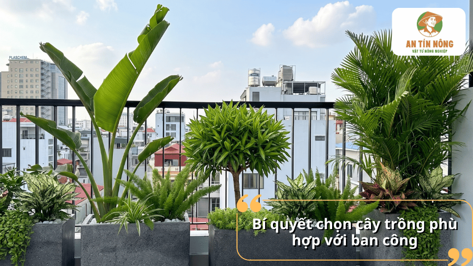 Nhiều loại cây cảnh được bố trí trên ban công, phù hợp với điều kiện nắng và không gian đô thị.
