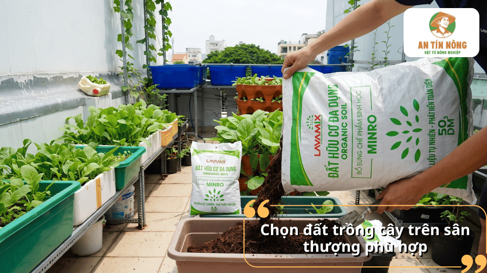 Đất hữu cơ đa dụng Lavamix được bổ sung vào thùng trồng rau trên sân thượng.