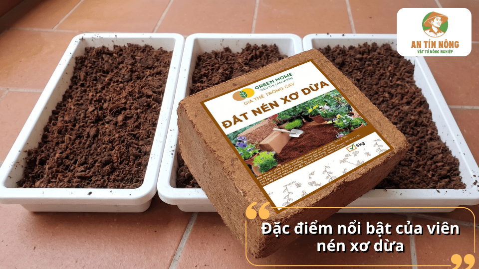 Đặc điểm nổi bật của viên nén xơ dừa là dạng bánh nén gọn, sau khi ngâm nước tạo thành giá thể xơ dừa tơi xốp.