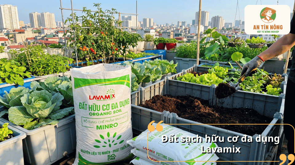 Đất sạch hữu cơ đa dụng Lavamix phù hợp trồng rau và chăm sóc cây tại nhà.