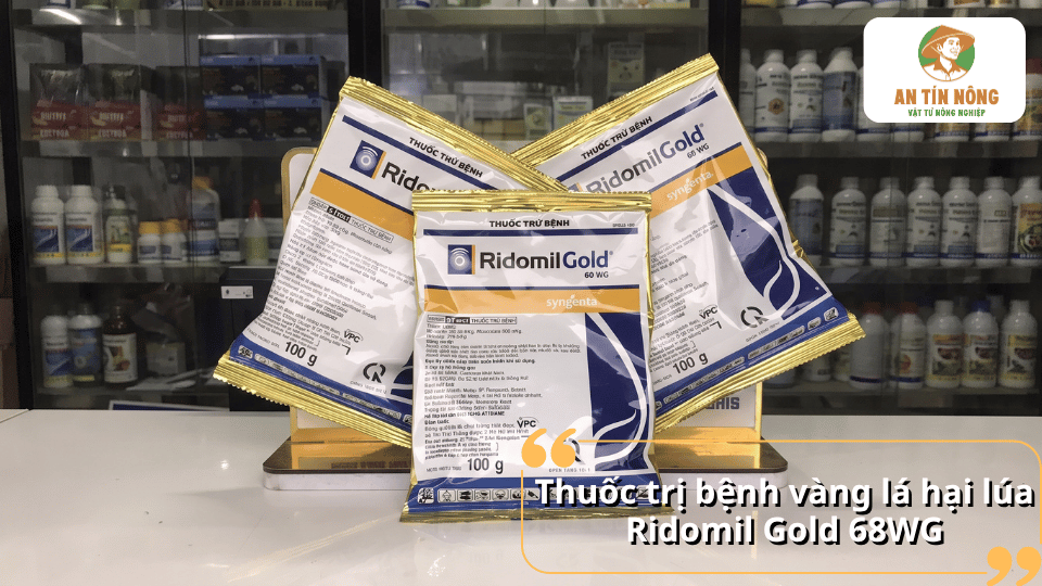Các gói thuốc Ridomil Gold 68WG được trưng bày, giới thiệu sản phẩm trị bệnh vàng lá hại lúa.