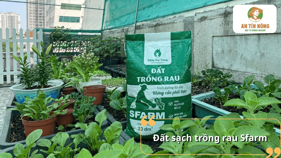 Đất sạch trồng rau SFARM giàu dinh dưỡng, phù hợp cho vườn rau tại nhà.