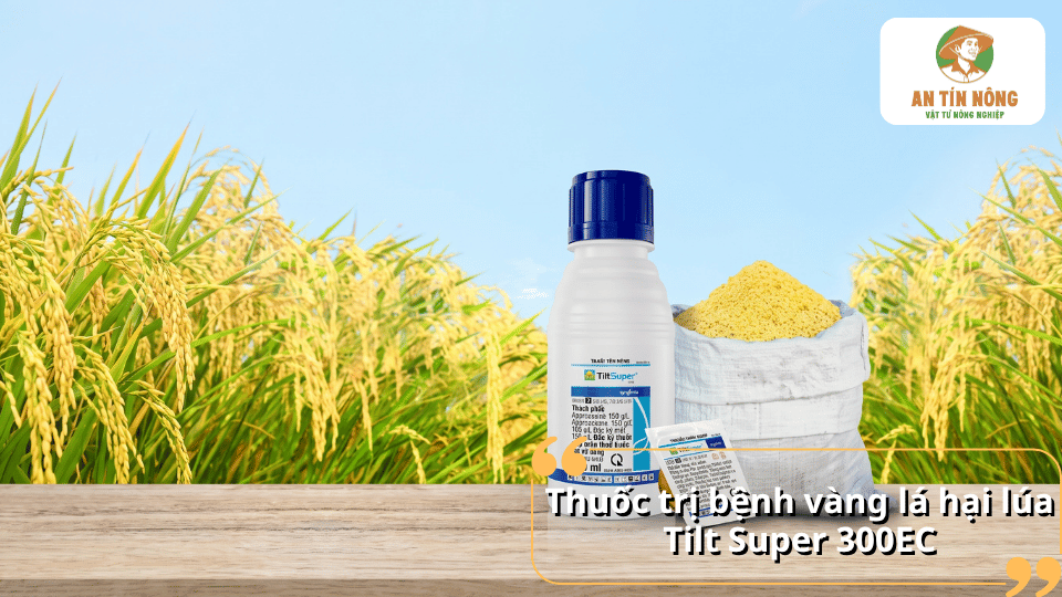 Chai thuốc Tilt Super 300EC đặt trước ruộng lúa chín, minh họa thuốc trị bệnh vàng lá hại lúa.