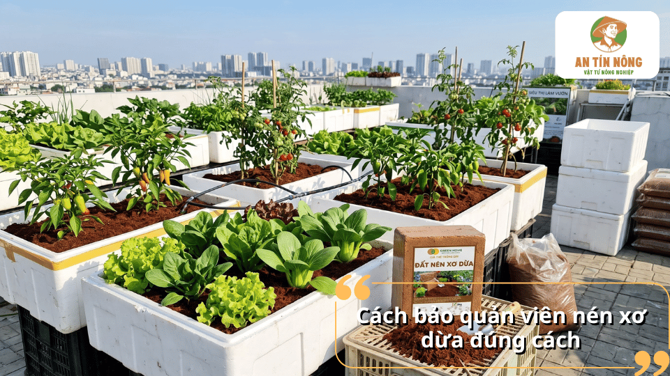 Cách bảo quản viên nén xơ dừa đúng cách trong điều kiện khô ráo để hạn chế ẩm mốc và duy trì chất lượng sản phẩm.