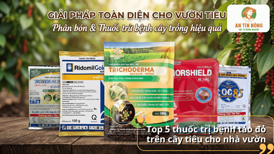 Top 5 thuốc trị bệnh tảo đỏ trên cây tiêu được nhiều nhà vườn sử dụng.