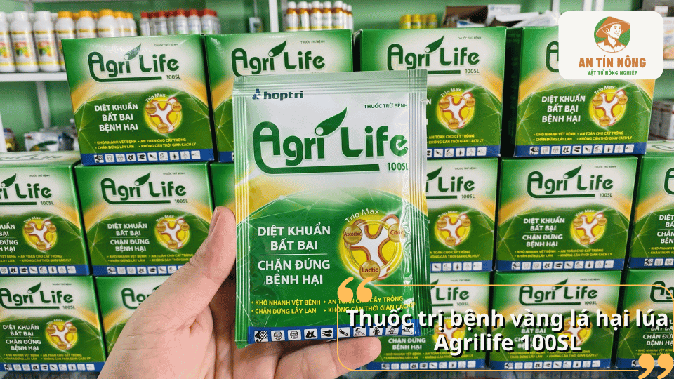 Gói thuốc Agrilife 100SL được cầm trên tay trước kệ sản phẩm, giới thiệu thuốc trị bệnh vàng lá hại lúa.