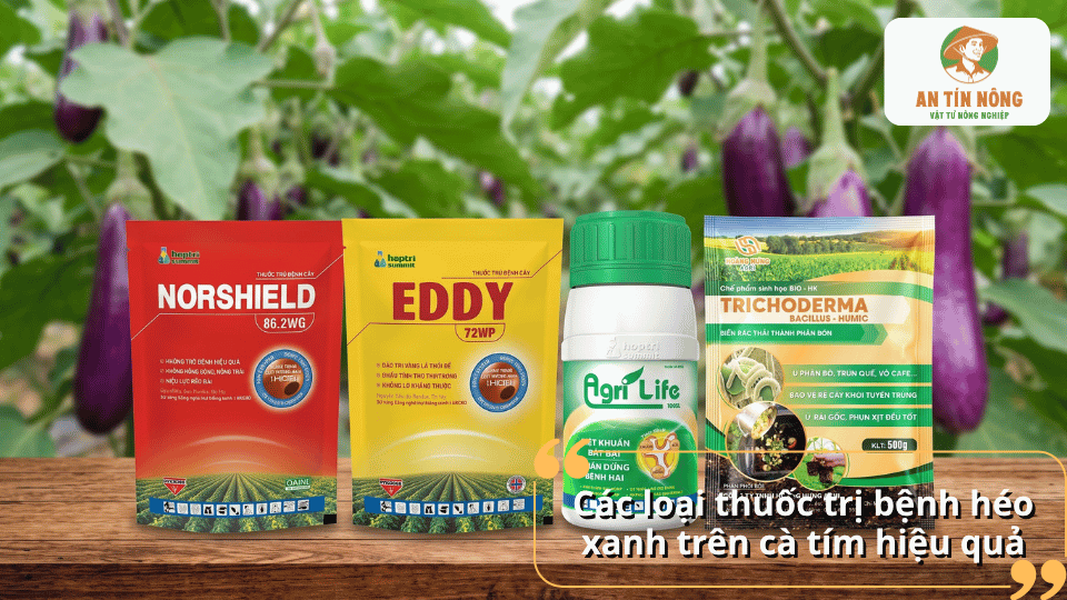 Một số thuốc và chế phẩm hỗ trợ phòng trị bệnh héo xanh trên cà tím.