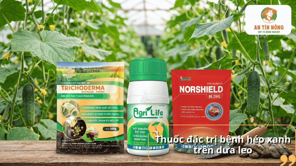 Các sản phẩm thuốc đặc trị bệnh héo xanh trên dưa leo.