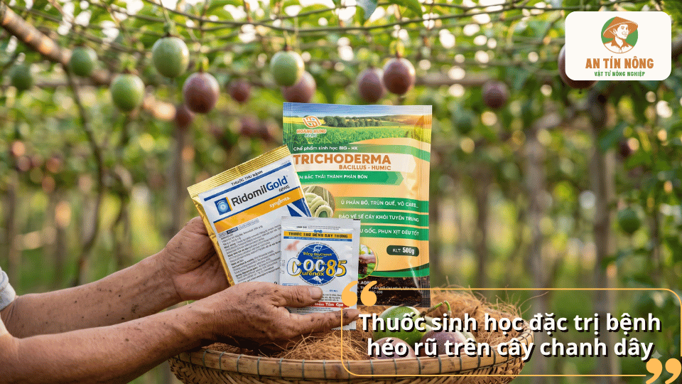 Các sản phẩm thuốc sinh học và chế phẩm Trichoderma được sử dụng để hỗ trợ phòng trị bệnh