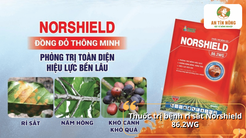 Thuốc trị bệnh rỉ sắt Norshield 86.2WG giúp phòng và trị nấm bệnh trên cà phê.
