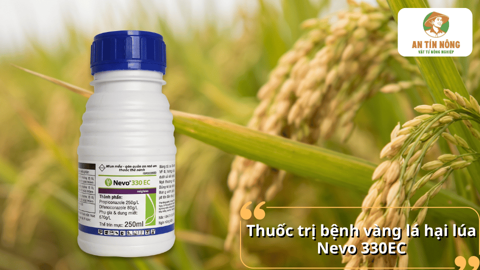 Chai thuốc Nevo 330EC đặt trước ruộng lúa đang trổ bông, giới thiệu sản phẩm trị bệnh vàng lá hại lúa.
