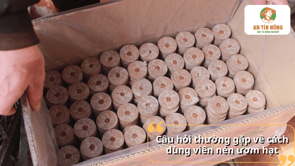 Giải đáp các câu hỏi thường gặp về cách sử dụng viên nén ươm hạt hiệu quả.