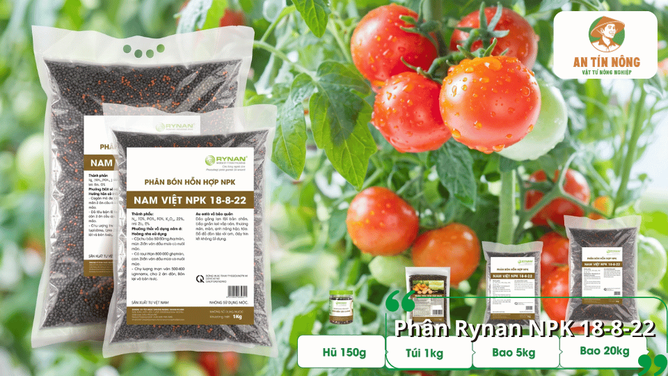 Phân Rynan NPK 18-8-22 hỗ trợ bổ sung dinh dưỡng cho cây trồng và cây ăn quả