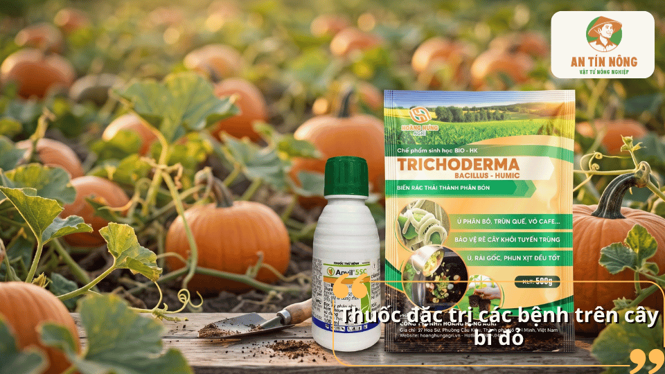 Thuốc đặc trị các bệnh trên cây bí đỏ hỗ trợ kiểm soát bệnh và bảo vệ cây trồng.