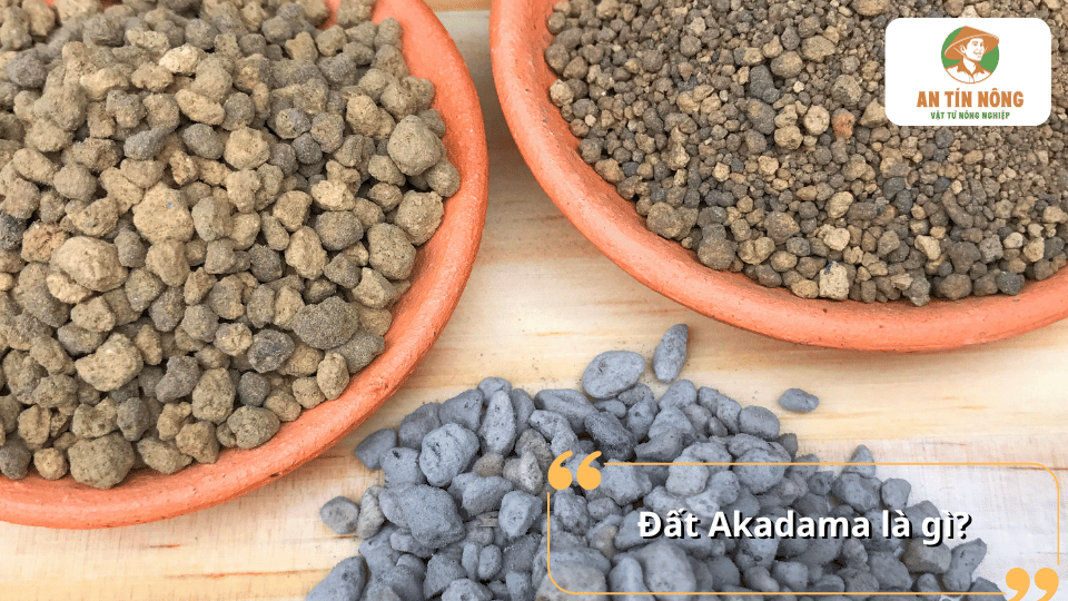 Đất Akadama là giá thể dạng hạt với nhiều kích thước và màu sắc khác nhau, thường được sử dụng trong trồng cây cảnh và bonsai.