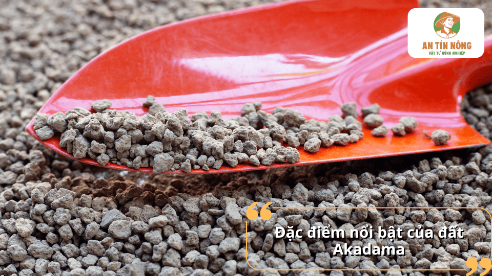 Đặc điểm nổi bật của đất Akadama với dạng hạt xốp, kích thước không đồng đều và cấu trúc phù hợp làm giá thể trồng cây.