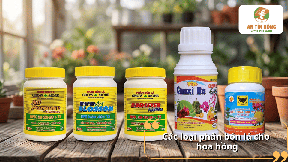 Các loại phân bón lá cho hoa hồng với nhiều sản phẩm dinh dưỡng khác nhau, hỗ trợ cây phát triển và tăng khả năng ra hoa.