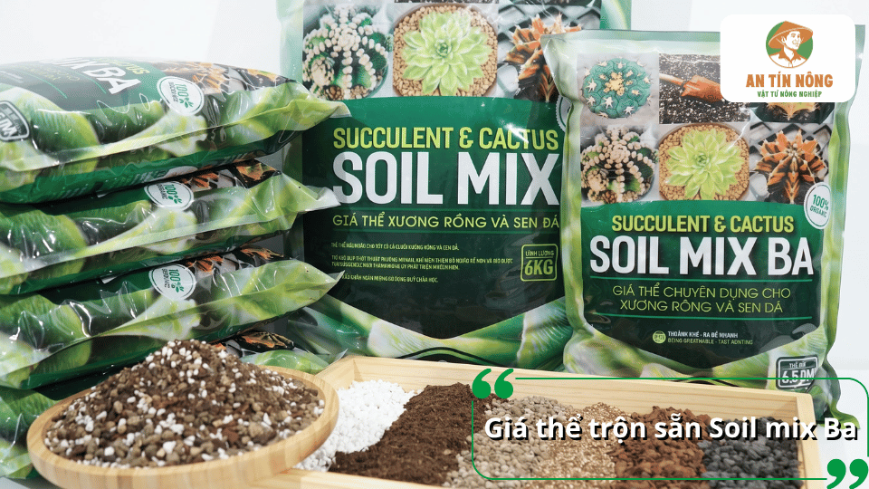 Giá thể trộn sẵn Soil Mix Ba chuyên dùng cho xương rồng và sen đá, được đóng gói tiện lợi cho việc trồng và chăm sóc cây.