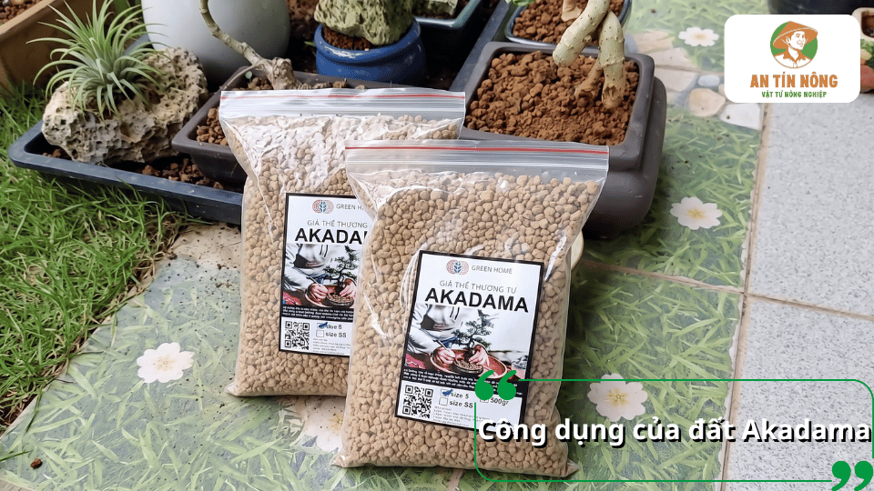 Công dụng của đất Akadama trong trồng cây cảnh, bonsai với sản phẩm Akadama dạng hạt được đóng gói tiện lợi.