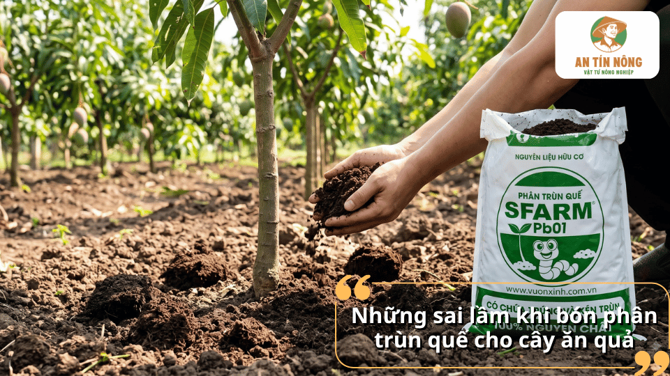 Những sai lầm khi bón phân trùn quế cho cây ăn quả cần tránh.