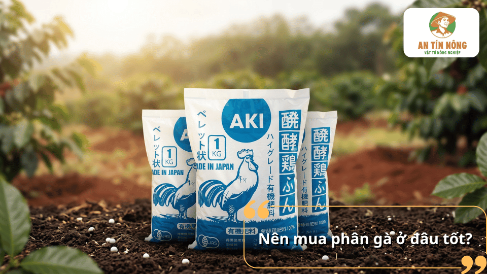 Nên mua phân gà ở đâu tốt, hình ảnh sản phẩm phân gà AKI được sử dụng trong chăm sóc cây cà phê.