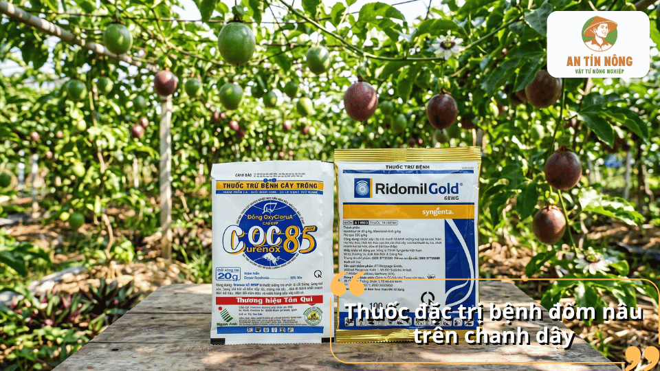 Thuốc đặc trị bệnh đốm nâu trên chanh dây giúp kiểm soát bệnh và bảo vệ cây trồng.